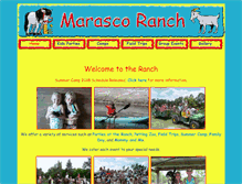 Tablet Screenshot of marascoranch.com